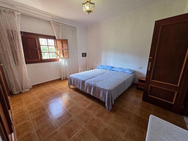 Foto badc0c3e-750d-4f8d-81f5-bef6dfba4eb1. Mas dans Guaro