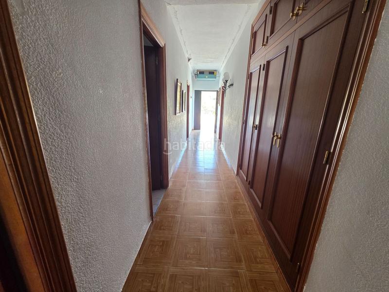 Foto ee5d899c-8a12-4957-bb7f-12222abf0209. Mas dans Guaro