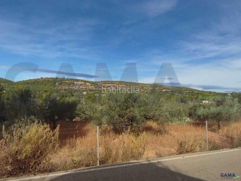 Foto 29d348c3-6fd4-43a4-9dab-35b1b4032bde. Fondo rustico in Algímia de Alfara