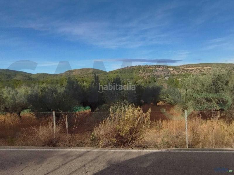 Foto 32504266-ce7d-4220-98c7-cf237934d6b5. Fondo rustico in Algímia de Alfara