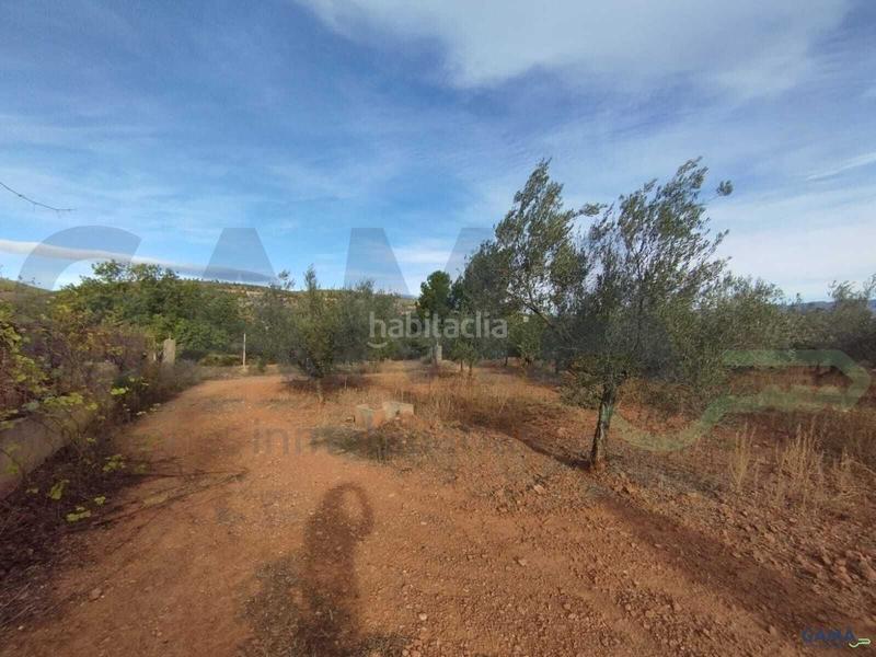 Foto 3c4b8ec2-d5d6-4320-ba5d-2f8bab4aae12. Fondo rustico in Algímia de Alfara