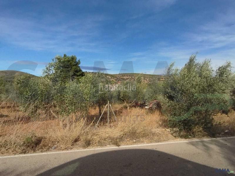 Foto 5c86a5a9-ba23-4af3-83ab-dce9221ac801. Fondo rustico in Algímia de Alfara