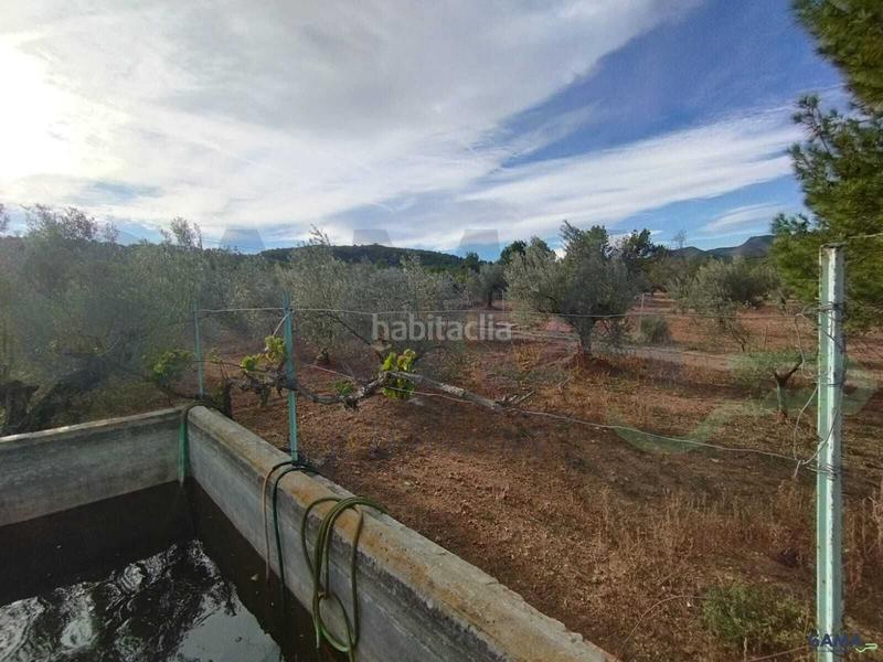 Foto 790be93f-c600-425e-bac6-7c1335f8f966. Fondo rustico in Algímia de Alfara