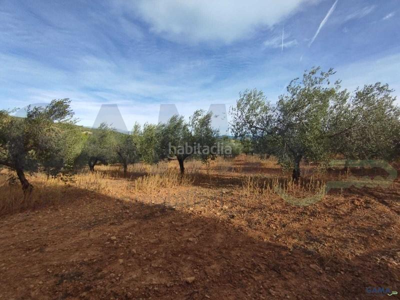 Foto c009103b-7f64-4910-92eb-f73373ab33de. Fondo rustico in Algímia de Alfara