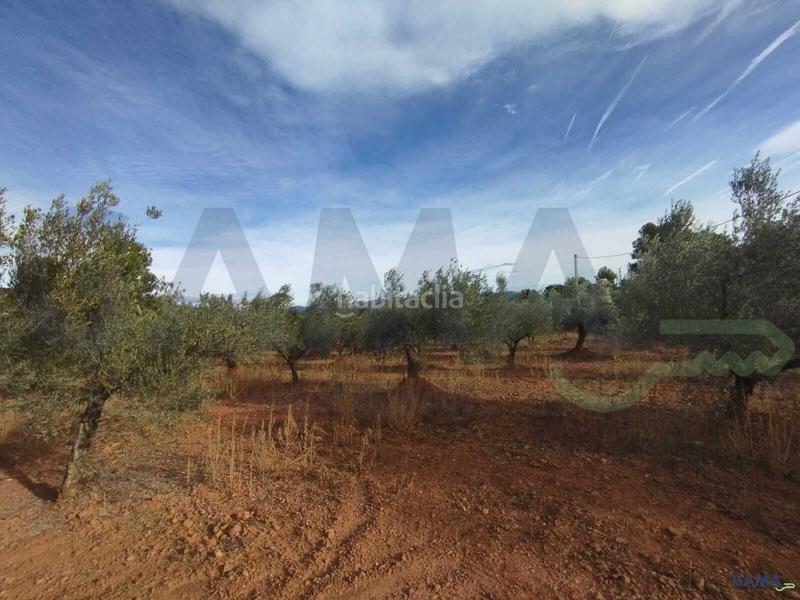 Foto c8231949-ce89-4f35-bb3a-e17bfdf3dda8. Fondo rustico in Algímia de Alfara