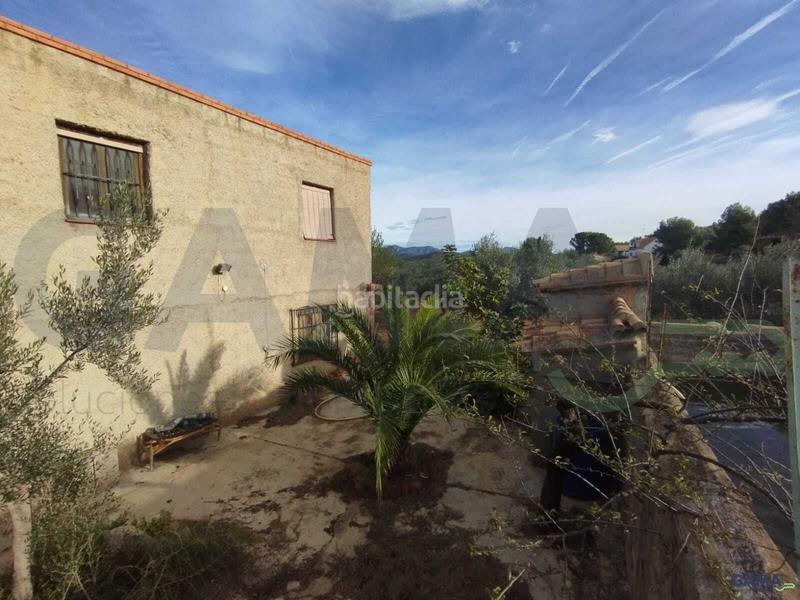 Foto ce2db24f-295d-4219-9460-f770a0cd2719. Fondo rustico in Algímia de Alfara