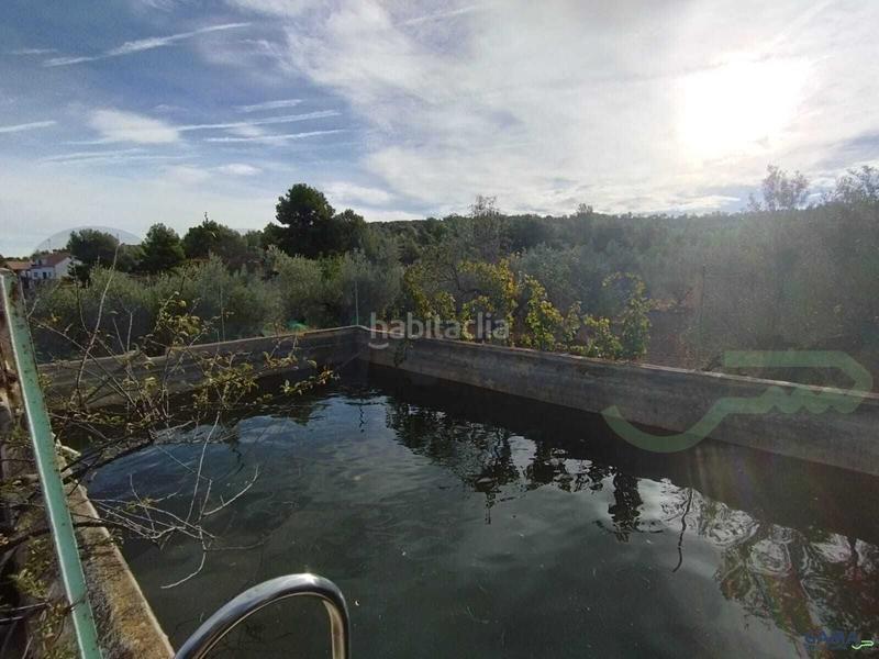 Foto da275a9c-d642-4307-8d0b-7bd9b6efdfd3. Fondo rustico in Algímia de Alfara