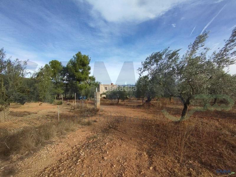 Foto 421bfeed-53be-40ce-b44c-7c9fb7d8388c. Finca rústica en Algímia de Alfara