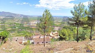 Residential Plot in Ador. Oportunidad única en monte corona  ador!