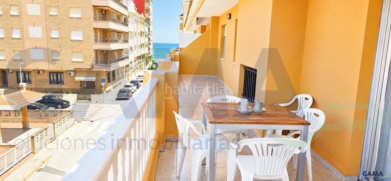 Foto 7119ab1b-107c-418c-9f8e-0a63ff4e5384. Àtic a Les Palmeres Sueca