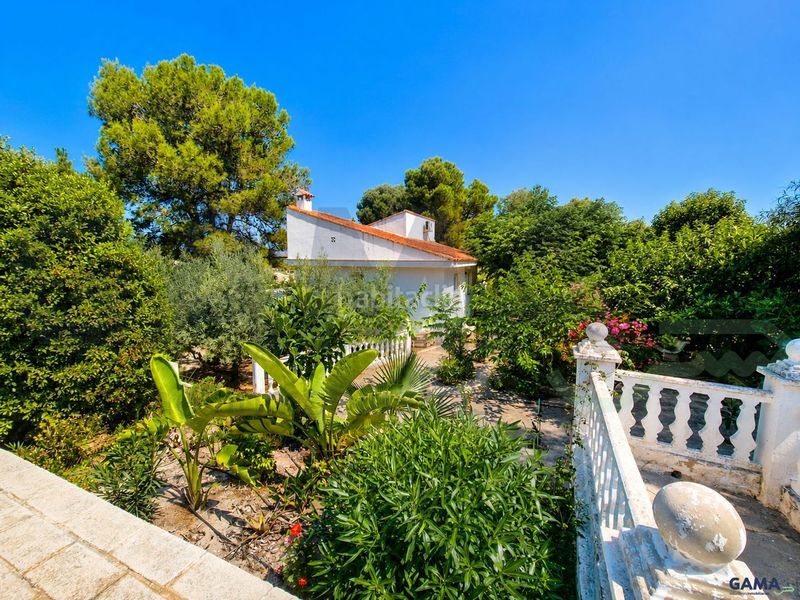 Foto 0f715fe3-1fe8-4c2f-b62f-015451ce5b7e. Casa amb aparcament piscina a Alberic