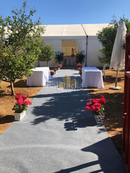 Foto 141d1bf9-0fc3-4c35-803a-b2dcda3b375f. Rent chalet in Nueva Alcalá Alcalá de Guadaira