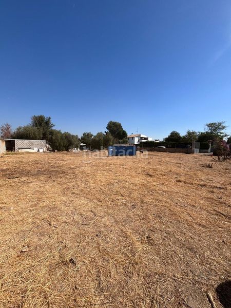 Foto 42a4f63f-4097-4833-813a-1ec8221f210a. Residential plot in La Paz Alcalá de Guadaira