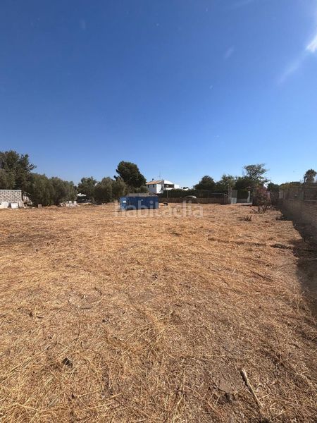 Foto ea3a9454-ac1f-4eb4-ba07-44945b938294. Residential plot in La Paz Alcalá de Guadaira