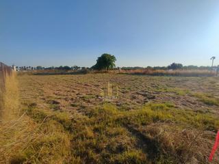 Mas à Pedanías Norte. Finca rúst. en venta en urbanizaciones periferias.