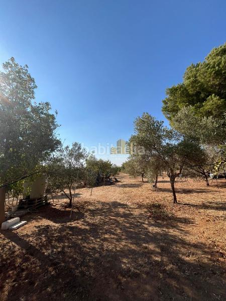 Foto 91e9dd46-15a0-488c-ba3e-a5e0d0004507. Chalet  en venta en urbanización la galbana, 1 dormitorio. en Alcalá de Guadaira