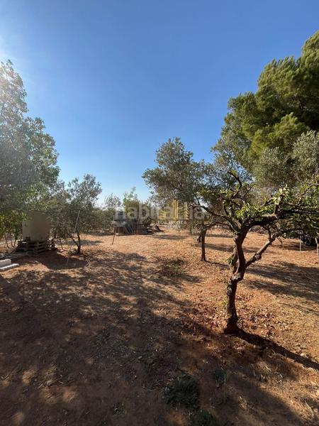 Foto a15d3b3d-367f-48bb-8e25-eeabd6c1f060. Chalet  en venta en urbanización la galbana, 1 dormitorio. en Alcalá de Guadaira