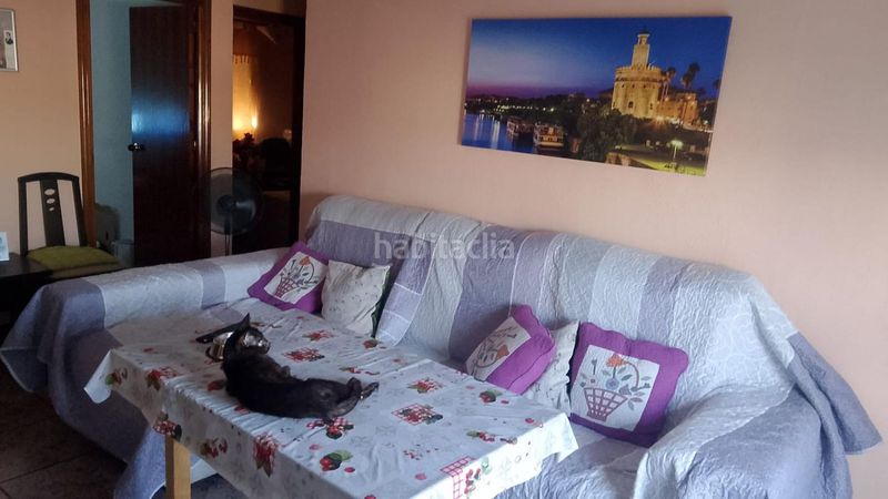 Foto c849ce4f-5e45-4cf7-bd30-704d2df1019b. Flat in La Paz Alcalá de Guadaira