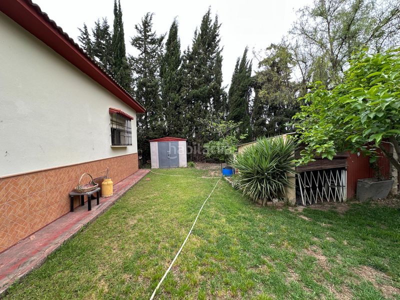 Foto dcbcdd74-0e8c-4b9d-9d0f-49cd0c7a31e9. Casa amb aparcament piscina a Centro Antequera
