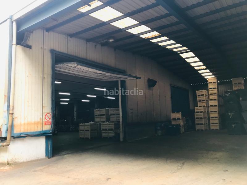 Foto acd4d21a-98f7-42ae-ac13-74297d9a062f. Fabrikhalle in astola auzoa 21 in Abadiño