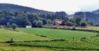 Finca rústica a Abadiño. Terreno en venta en etxebarria 1, abadiño