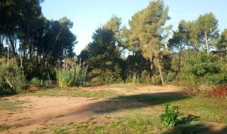 Terrain résidentiel à Sant Muç. Terreno totalmente plano en camèlies.