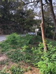Terrain résidentiel à Les Planes. Excepcional terreno en antoni griera ,les planes
