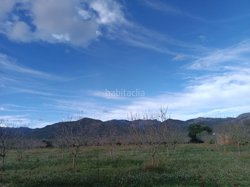 Foto f344de60-8869-47e9-90a6-516258cdc4e7. Terreny residencial a Jesús - Els Reguers Tortosa