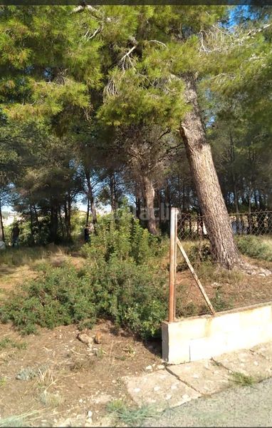 Foto 9d059f05-bb59-4b40-821e-4a1eedfa85e9. Terreny residencial a Cunit residencial Cunit