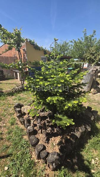 Foto 2dce8f29-a4ac-44fc-a635-b5bc50855d6a. Casa  chalet en los majuelos, tarancón en Santa Maria de Gracia Murcia