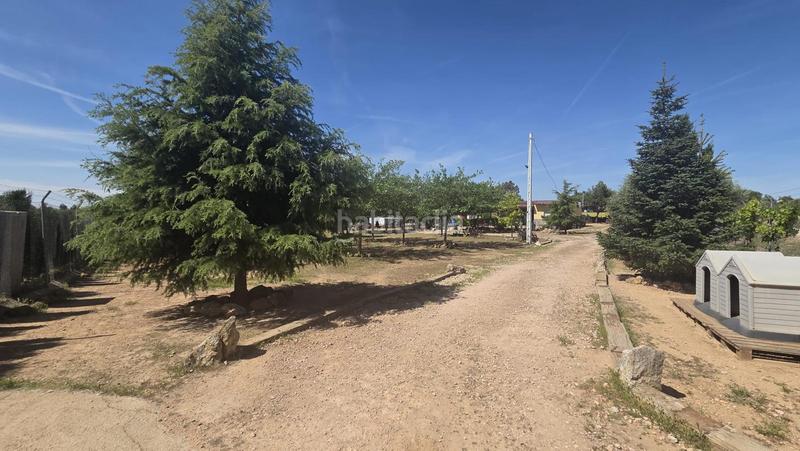 Foto de9f575d-9713-4b85-a973-841856d1c7a8. Casa  chalet en los majuelos, tarancón en Santa Maria de Gracia Murcia