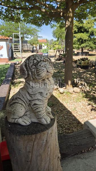 Foto ea3cc291-ce2d-43fc-bacc-cf6d8caaa13d. Casa  chalet en los majuelos, tarancón en Santa Maria de Gracia Murcia