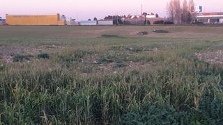 Terreny residencial  Calle de los aliagares. Lote de terrenos rusticos proximos a tarancon: poligono 507 pare