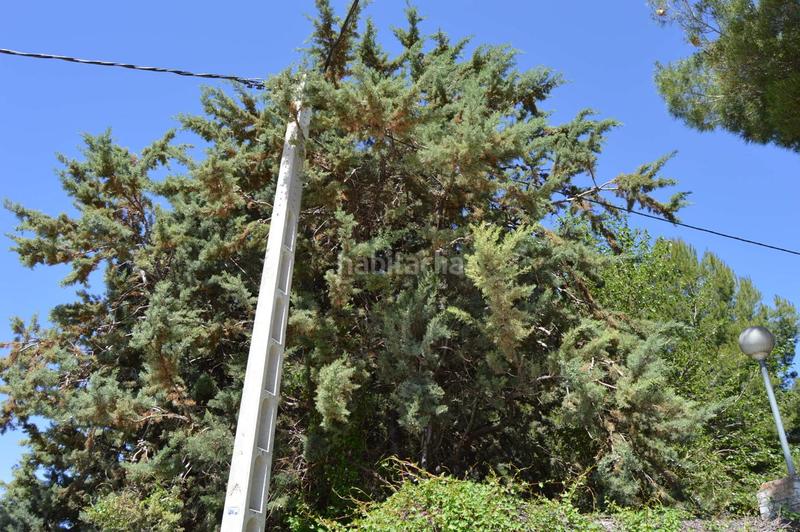 Foto cb503954-2d94-4951-8876-e41732b2e109. Terreny residencial a de valdecarros 123 a Tarancón