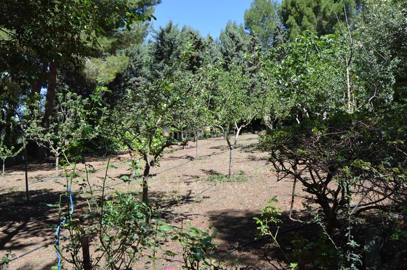 Foto d541f0ce-9f95-4a06-8bbe-5fb57e408072. Terreny residencial a de valdecarros 123 a Tarancón