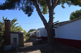 Casale  Jón san juan