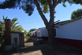 Country house  Jón san juan