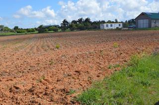 Terreny residencial  Calle kaki. Este terreno se encuentra en paraje senda pozo amarillo, 16400,