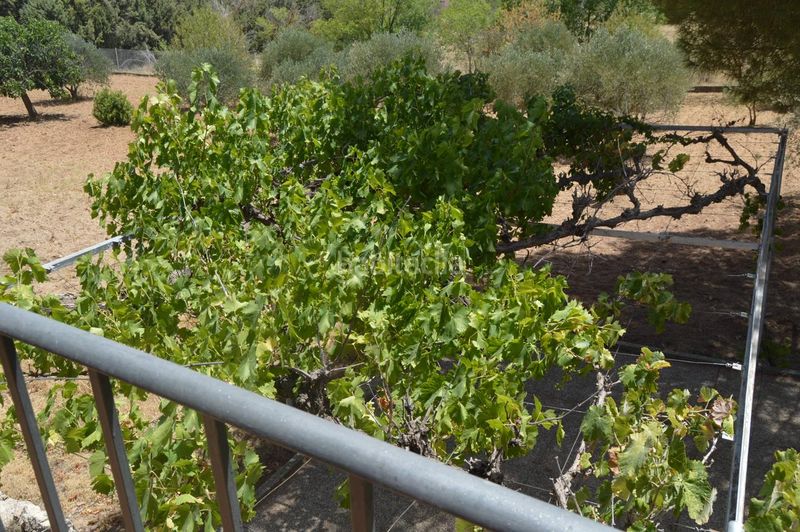 Foto 1ef90159-3975-4380-87f3-ce66eb62fe52. Casa amb calefacció aparcament a Villar de Cañas