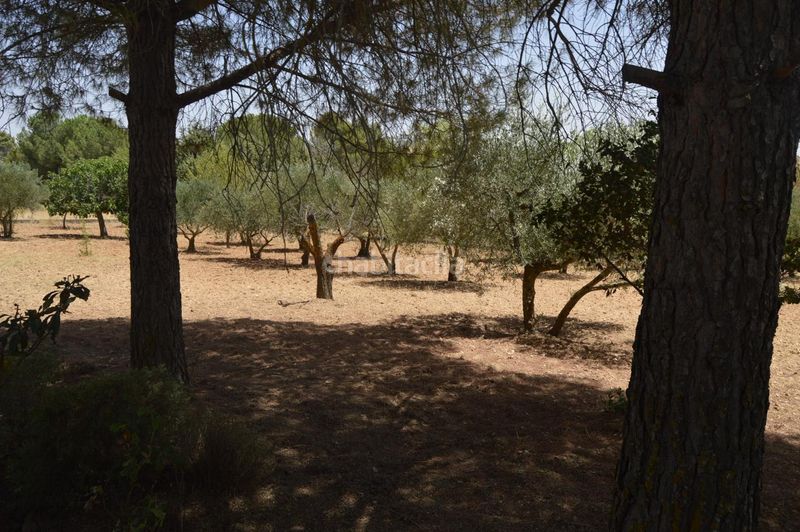 Foto 4e65ae9a-d8c3-4d44-96cb-edbeb755330f. Casa amb calefacció aparcament a Villar de Cañas