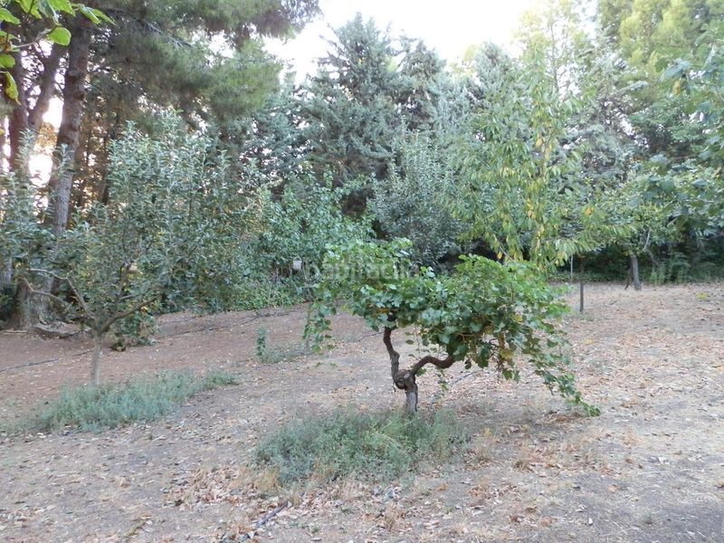 Foto f5889bab-5bc9-4c5a-86e5-04197040dd56. Terreny residencial a Perales del Río Getafe