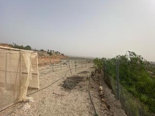 Terreny residencial  Calle los valos