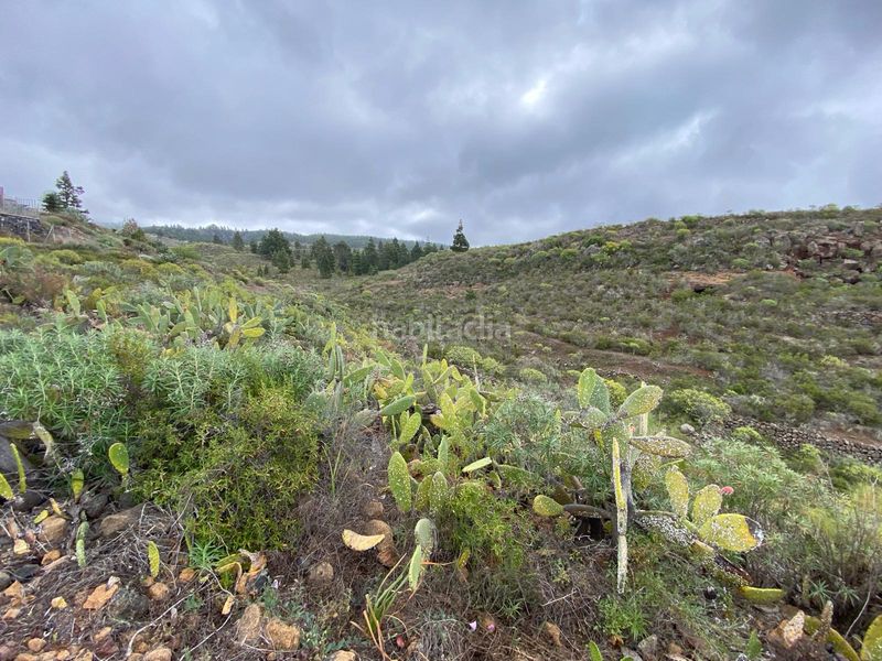 Foto 5dffc8b2-9e64-418f-a532-3972a7697521. Finca rústica a vial camino 11d a La Quinta - Taucho Adeje