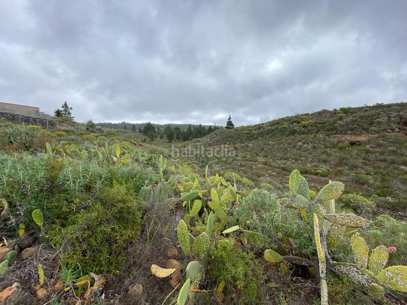 Foto b75b3e6c-d4c3-4e5f-b856-836e8be7e445. Finca rústica a vial camino 11d a La Quinta - Taucho Adeje