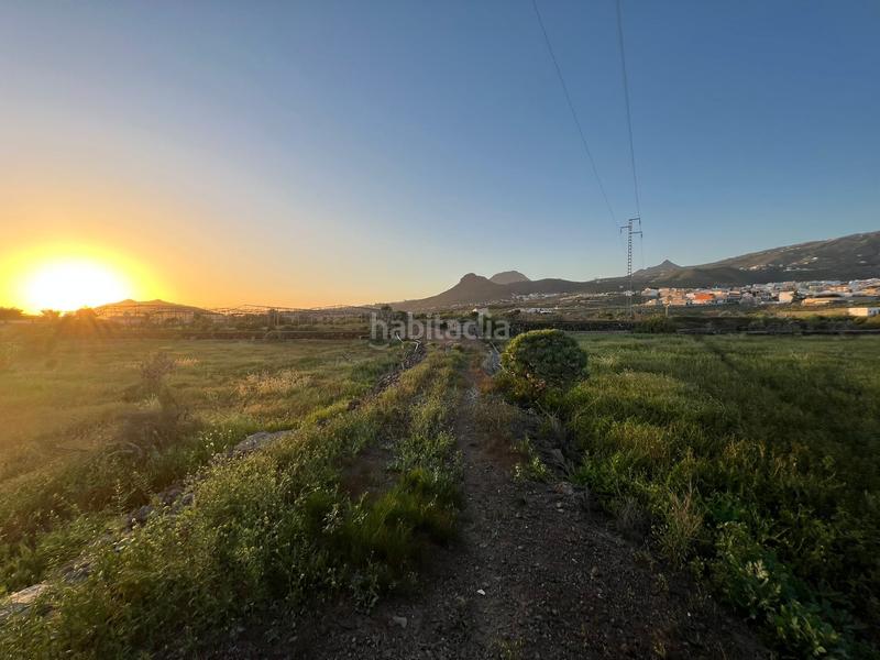 Foto 1e666d42-60b5-4e54-9496-86b15db54985. Finca rústica a camino cardon alto 6 a Buzanada Arona