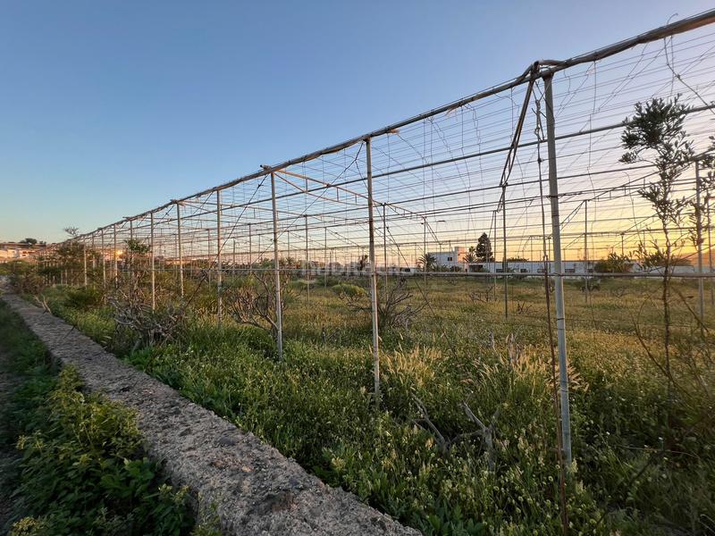 Foto 34548817-bcc2-40cb-87b0-e13f56b90cd4. Finca rústica a camino cardon alto 6 a Buzanada Arona