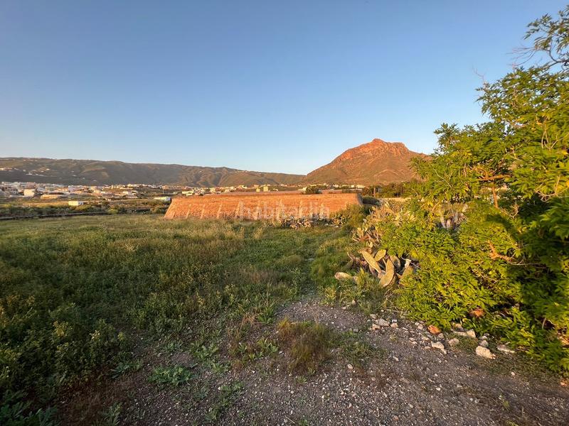 Foto 4598a7a4-1c86-4ef5-8dab-a38154202761. Finca rústica a camino cardon alto 6 a Buzanada Arona