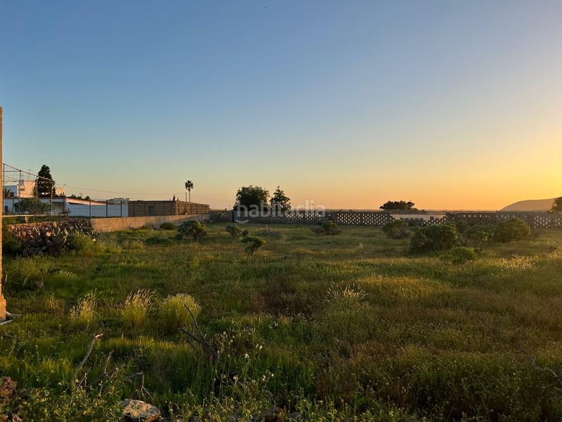 Foto 5689a272-7ff8-4d66-ba1b-d8d484d9b02b. Finca rústica a camino cardon alto 6 a Buzanada Arona