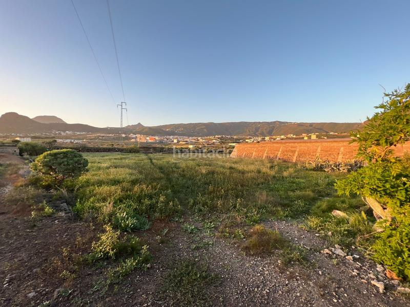 Foto 789e0700-7652-45c0-9992-e6d32a5313af. Finca rústica a camino cardon alto 6 a Buzanada Arona