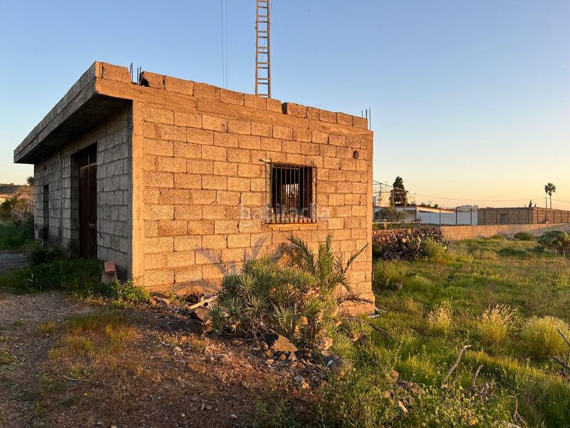 Foto 8701b295-0feb-4deb-8f46-ac0ad45c44a5. Finca rústica a camino cardon alto 6 a Buzanada Arona